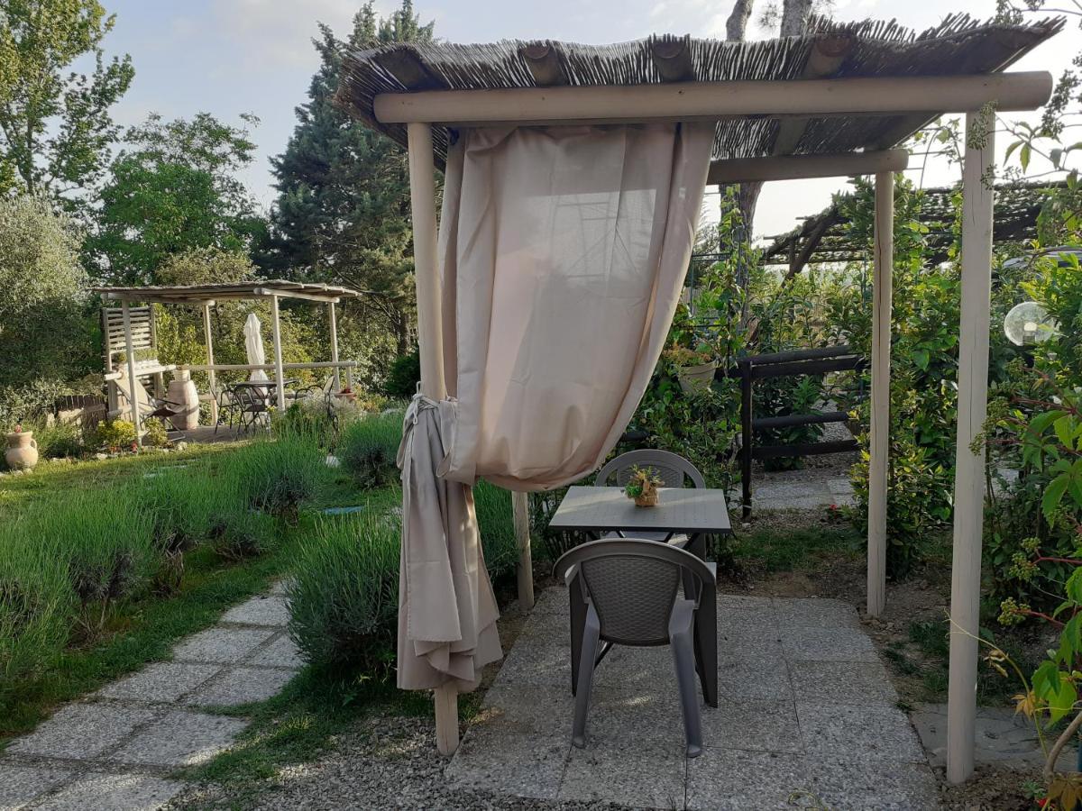 Il Lavandeto - In The Estadia no rancho Siena